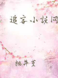 追客小说网