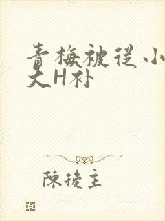 青梅被从小摸到大H补