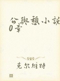 公与憩小说400章