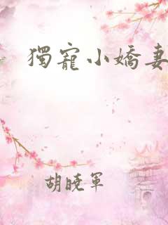 独宠小娇妻
