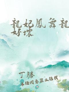 龙妃凤舞龙王你好坏
