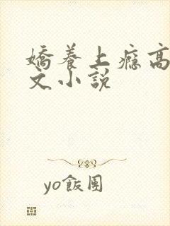 娇养上瘾高H爽文小说