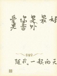 爱你是最好的时光番外