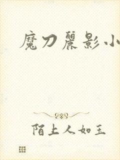 魔刀丽影小说