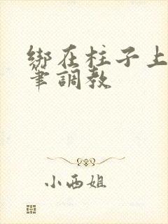 绑在柱子上用毛笔调教