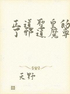 正道圣皇的我娶了邪道魔尊 小说