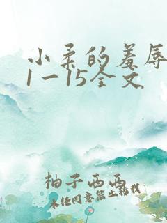 小柔的羞辱日记1一15全文