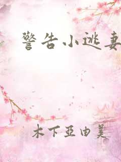 警告小逃妻