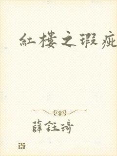 红楼之瑕疵