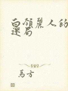 白领丽人的危情迷局