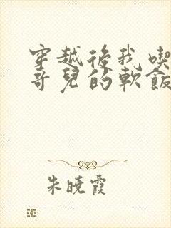 穿越后我吃到了哥儿的软饭炉山灰