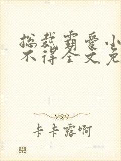 总裁霸爱小妻惹不得全文免费阅读