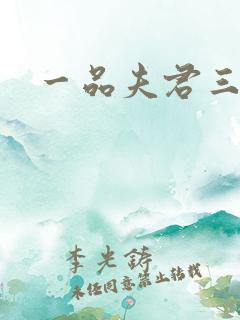 一品夫君三流妻