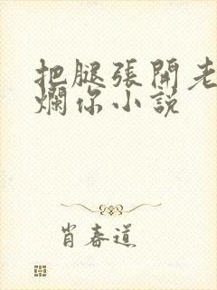 把腿张开老子臊烂你小说