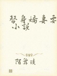 替身娇妻要离婚 小说