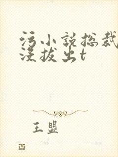 污小说总裁整夜没拔出t