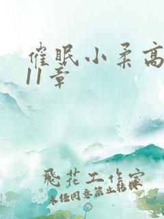 催眠小柔高达第11章