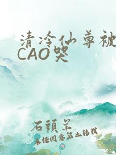 清冷仙尊被强制CAO哭