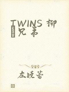 TWINS 柳澤兄弟