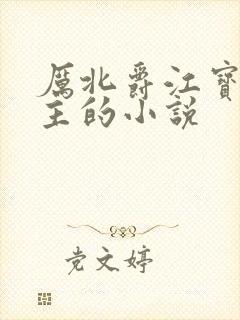 厉北爵江宝宝男主的小说