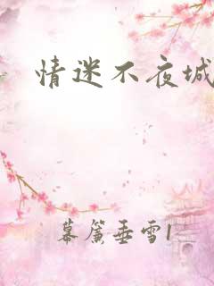 情迷不夜城