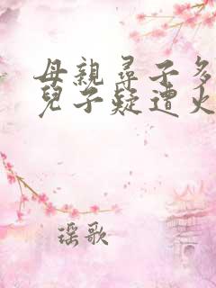 母亲寻子多年 儿子疑遭火车撞击身亡