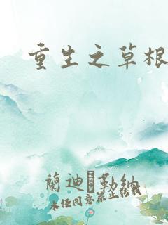 重生之草根太子