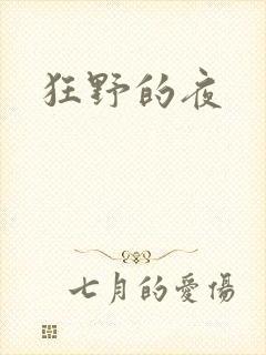 狂野的夜