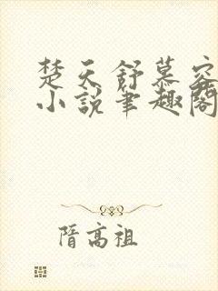 楚天舒慕容江月小说笔趣阁