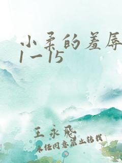 小柔的羞辱日记1一15