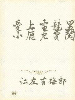 爱上电竞男神林小鹿免费阅读