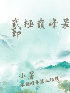 武极巅峰最新章节