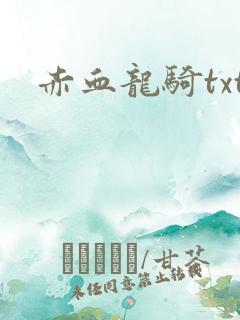 赤血龙骑txt