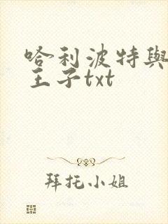 哈利波特与混血王子txt