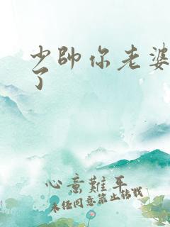 少帅你老婆又跑了