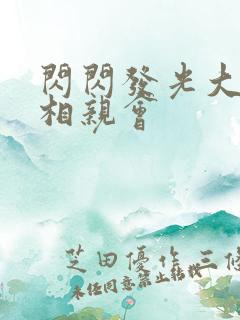 闪闪发光大团圆相亲会