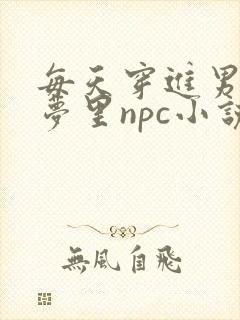 每天穿进男神的梦里npc小说txt