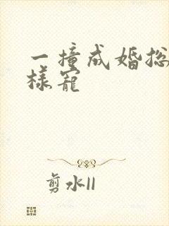 一撞成婚总裁花样宠