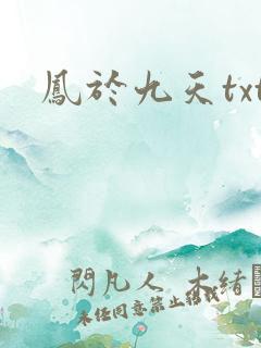 凤于九天txt