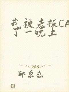 我被老板CAO了一晚上