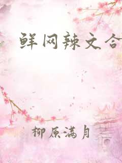 鲜网辣文合集