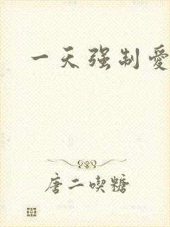 一天强制爱