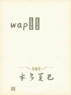 wapС˵