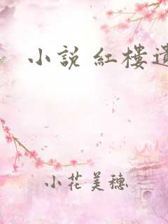 小说 红楼遗秘