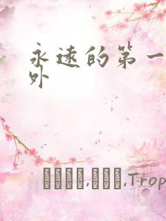 永远的第一名番外