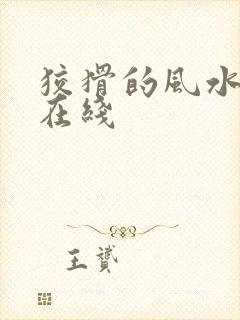 狡猾的风水相师在线