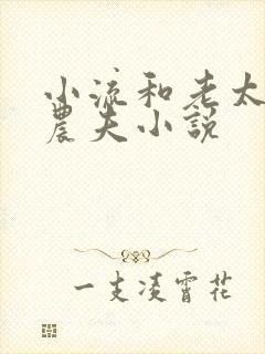 小流和老太69农夫小说