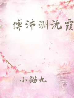 傅沛洲沈霞小说