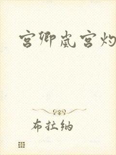 宫卿岚宫灼小说