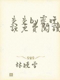 炎炎by霁晚小说免费阅读全文